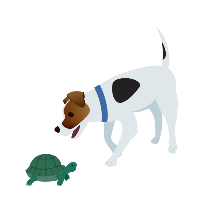 Illustration of Sherlock the dog sniffing a turtle